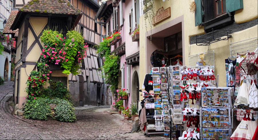 Retrouvez-nous en Alsace